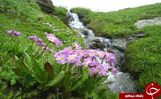 جلوه گری بهار در نقاط صفر مرزی آذربایجان غربی+تصاویر