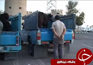 نگاهی گذرا به مهمترین رویدادهای 9 فروردین در مازندران