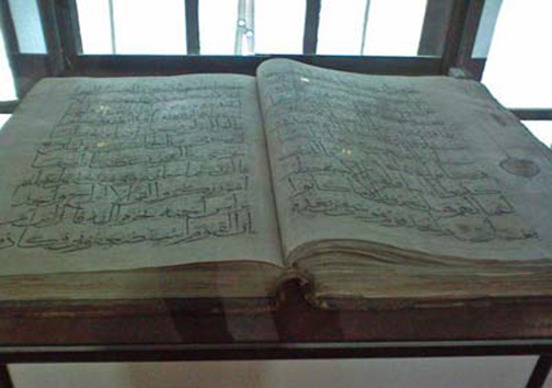 سفری به ماقبل تاریخ + تصاویر
