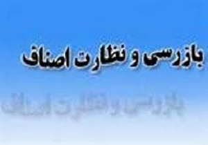 شناسایی بیش از هزار و 200 واحد صنفی متخلف در هرمزگان