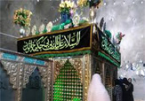 حضور 750 زائر از حوزه خلیج‌فارس در حرم بی بی حکیمه(س)