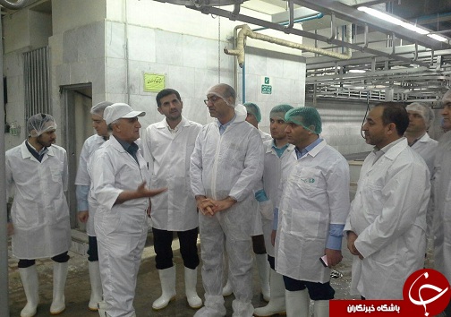 آغاز فعالیت رسمی گوشت زیاران
