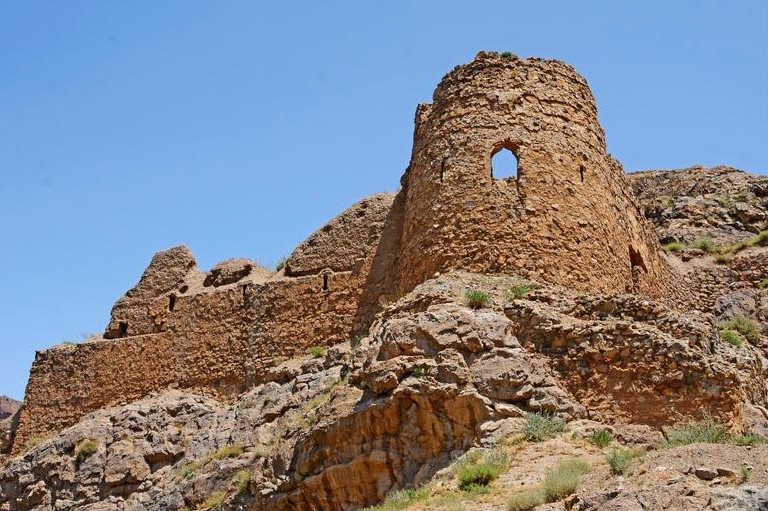 آغوش دریاچه برای جنگل باز است