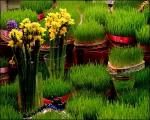 اشتراک گذاری قرارهای سیزده بدر در کانال&zwnj;ها و گروه&zwnj;های شبکه های اجتماعی اشتباه است