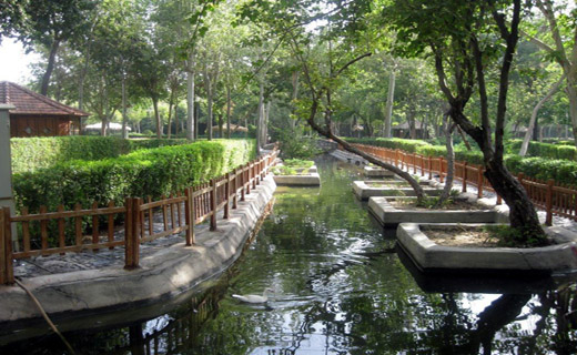 راهنمای سفر به شیراز/ اماکن دیدنی / هتل&zwnj;ها + تصاویر