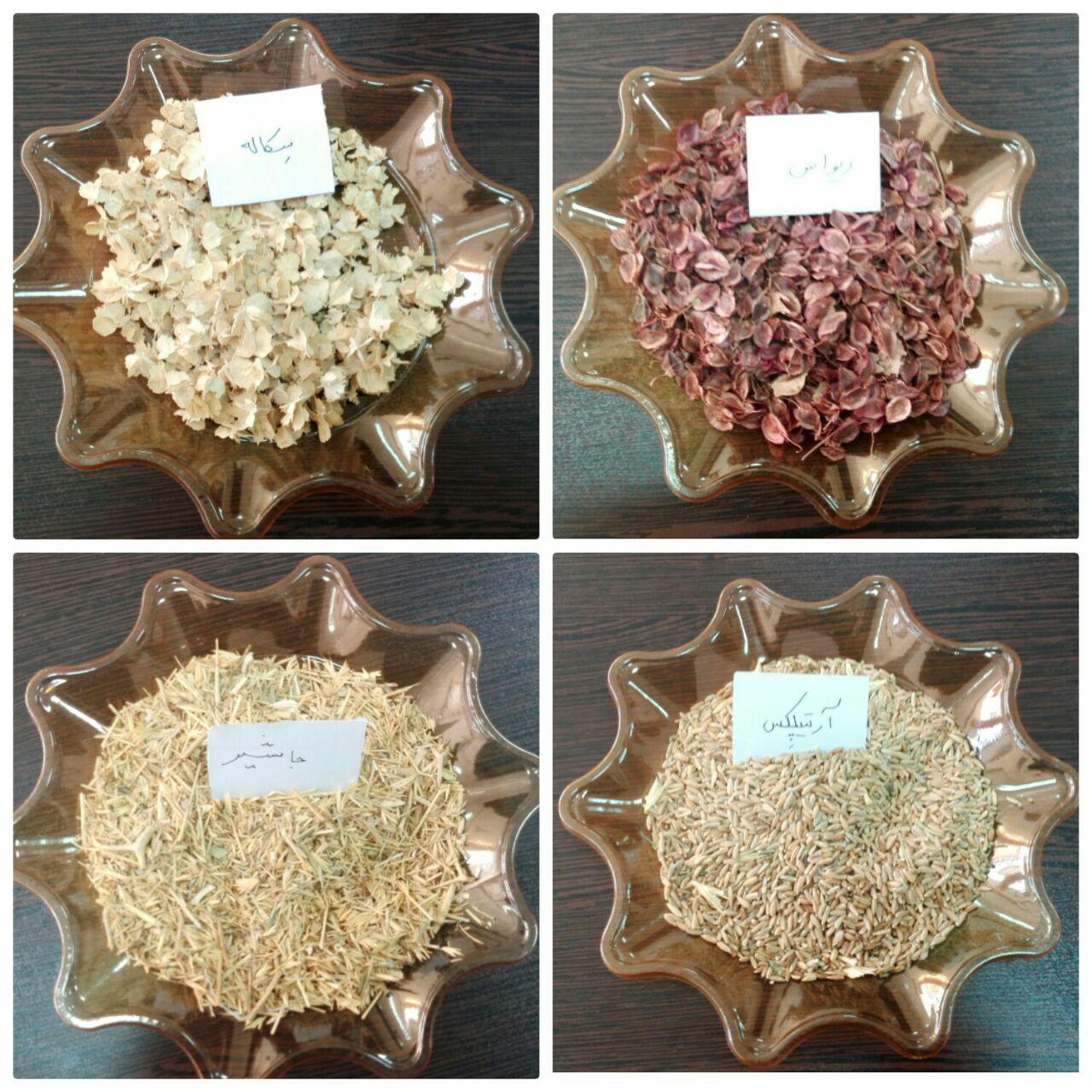 کاشت و توزیع بیش از یک تن بذر گیاهان خودرو در سیرجان