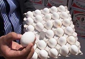 یک تن تخم مرغ غیر بهداشتی در ماکو کشف شد