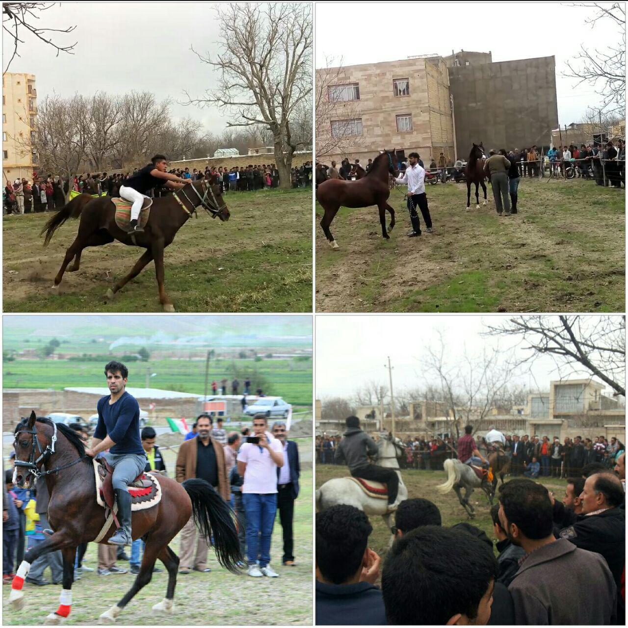 برگزاری جشنواره روز طبیعت با حضور 50 سوارکار نهاوندی