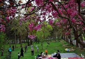 50 هزار کیسه زباله در آذربایجان غربی در روز طبیعت توزیع شد
