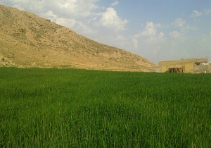 طبیعت زیبای روستای ابوعلی + تصاویر