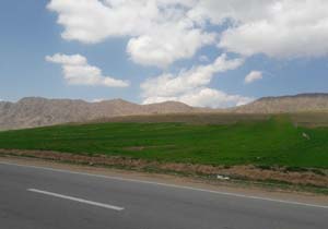 نمایی از طبیعت بهاری سپیددشت + تصاویر