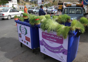 جمع آوری ۸ تن سبزه عید در شهرکرد