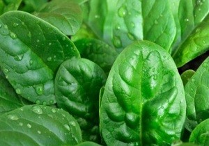 آهن اسفناج بیشتر از گوشت قرمز