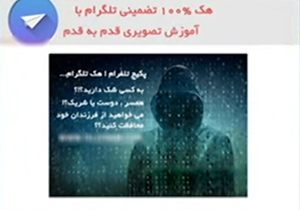 هکر نوجوان دو هزار سایت دستگیر شد + فیلم