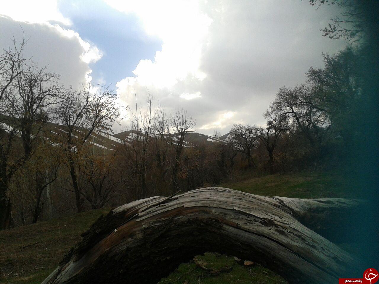 نمایی از روستای اردمین + تصاویر
