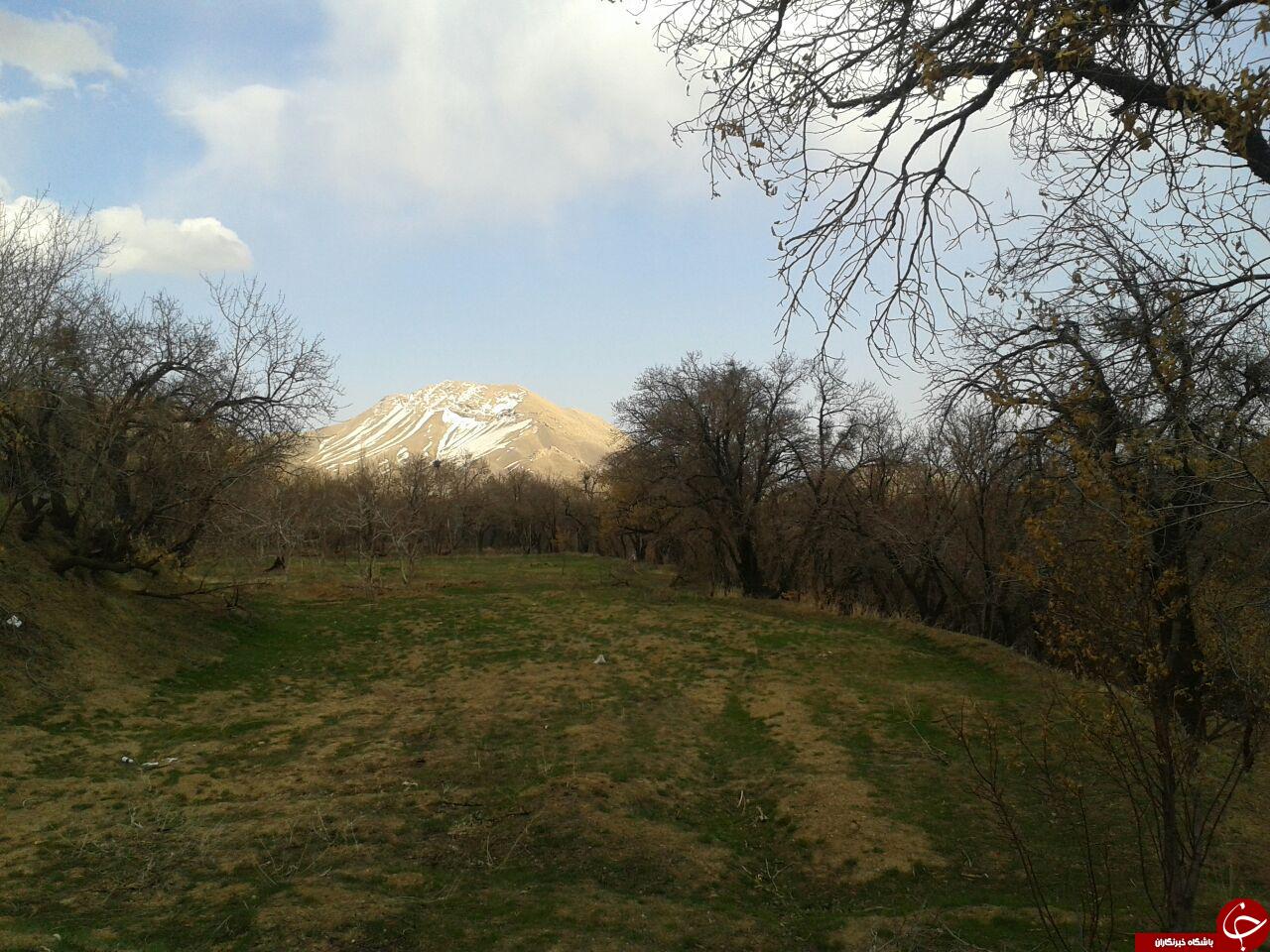 نمایی از روستای اردمین + تصاویر