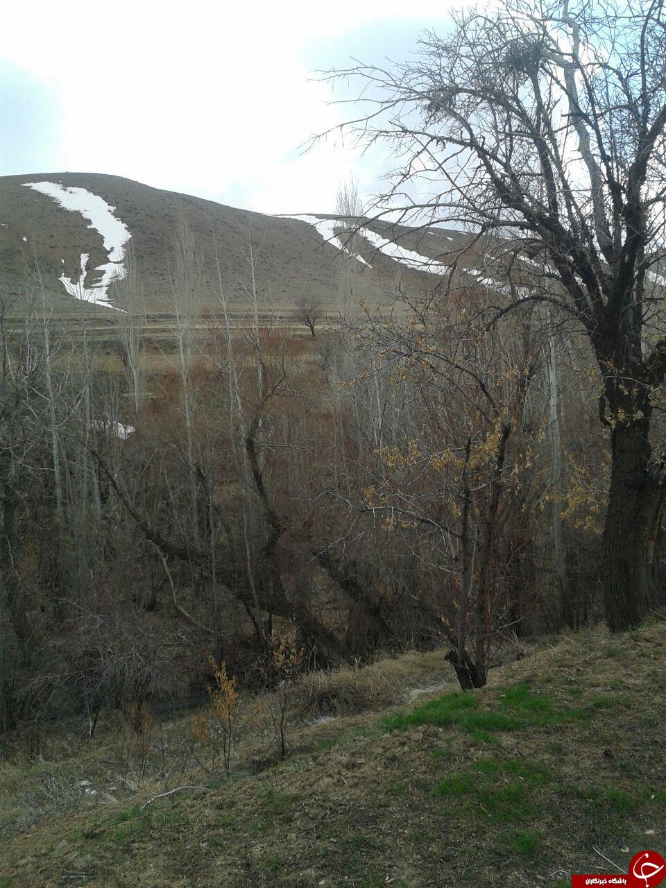 نمایی از روستای اردمین + تصاویر