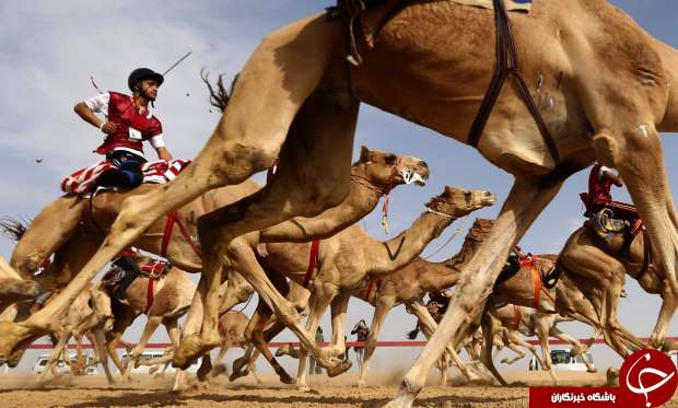 از روز بین المللی مبارزه با بالش در رومانی تا مراسم رستاخیز در تایلند