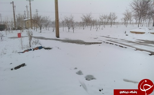 طبیعت برفی زنجان+ تصاویر