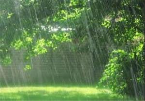 کاهش 34 درصدی بارندگی در گلستان