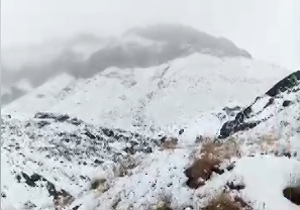 بارش برف روستای «طبس» را سفیدپوش کرد + فیلم