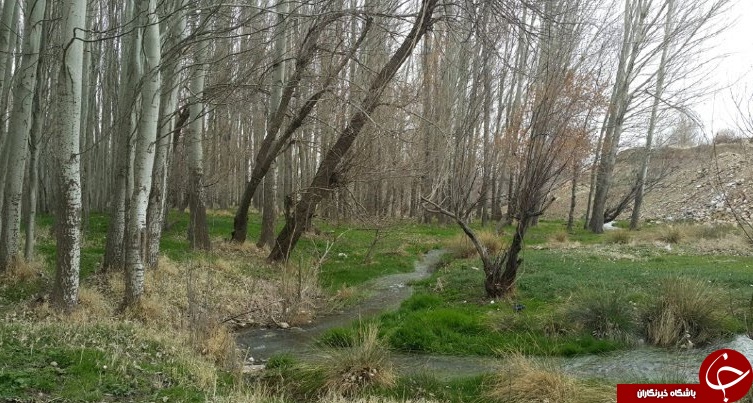 نمایی از پارک دریاچه سمیرم + تصاویر
