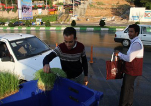 جمع آوری بیش از 15 تن سبزه