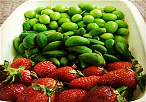 چند نکته مهم درباره مصرف نوبرانه ها