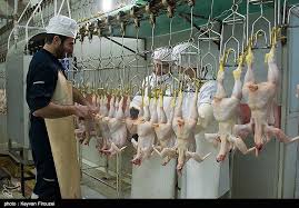 کشتارگاه صنعتی میانه