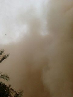 ریزگردها آسمان ریگان را سیاه کردند