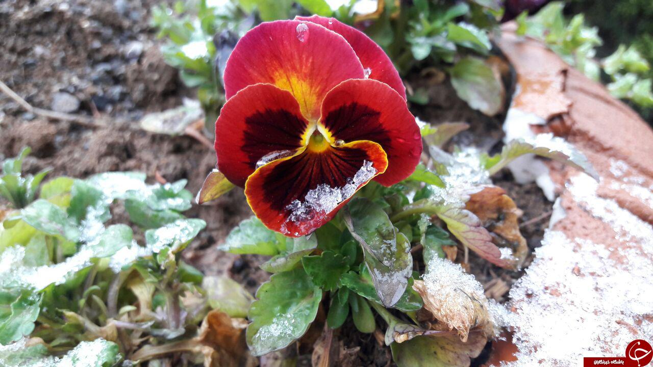 نمایی از دریاچه دوریک در پیشنبور + تصاویر