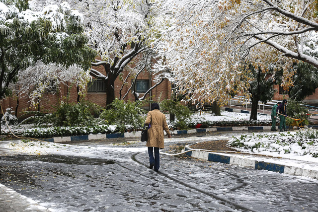 بارش برف در همدان