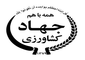 توزیع بیش از 1000 تن برنج در استان برای تنظیم بازار