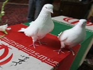 عروج  جانباز ۷۰درصد شیمیایی
