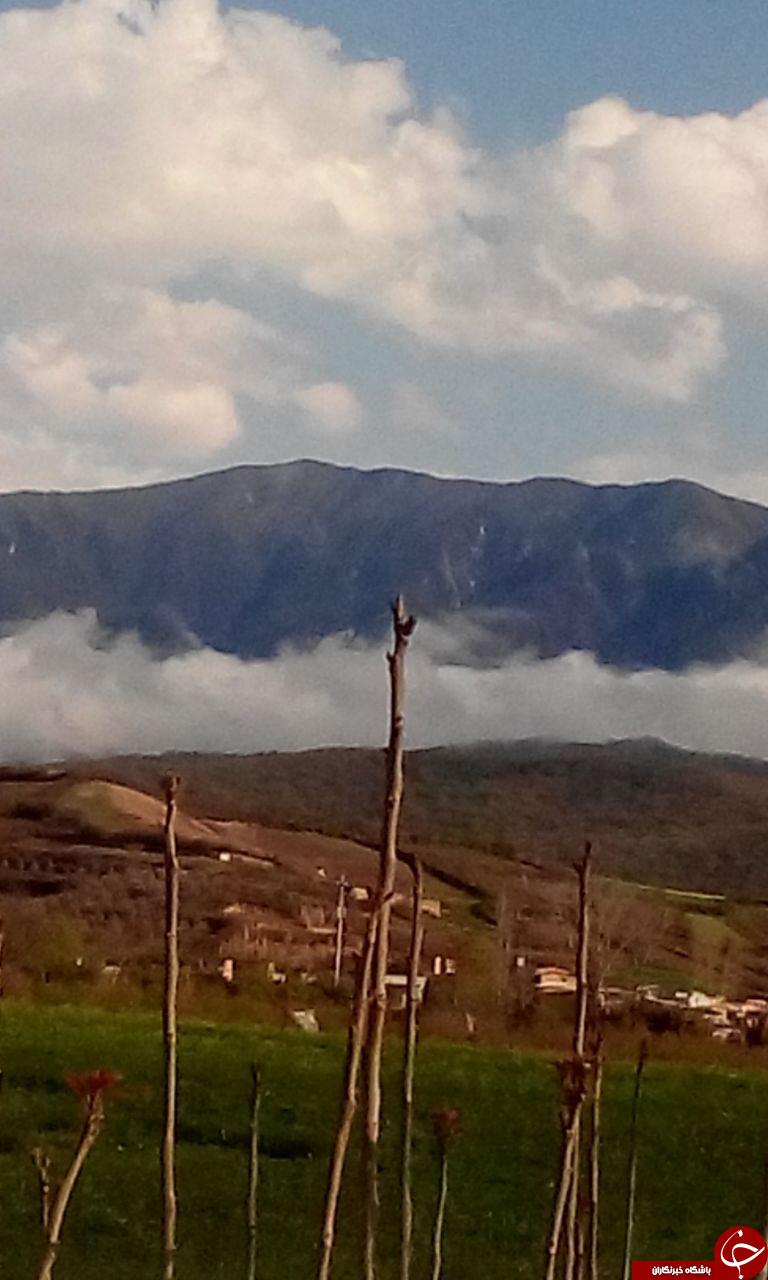 طبیعت سرسبز و زیبای سدن + تصاویر