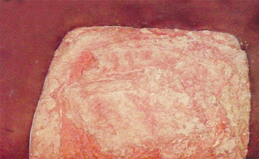 نگاهی به پر بیننده ترین اخبار روز گذشته در سمنان