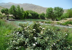 تصاویری زیبا از طبیعت روستای تکه