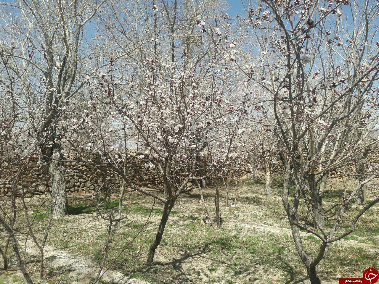 چشم&zwnj;انداز زیبای برج&zwnj;کبوتر + تصاویر