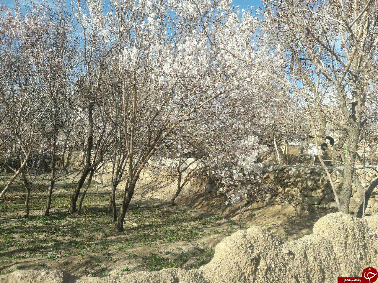 چشم&zwnj;انداز زیبای برج&zwnj;کبوتر + تصاویر
