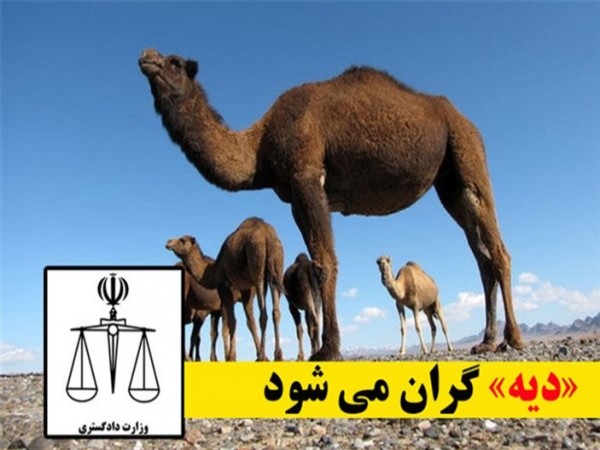 نرخ دیه افزایش پیدا کرد