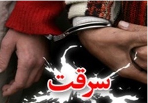 کشف 126 رأس دام سرقتی از یک باند دو نفره
