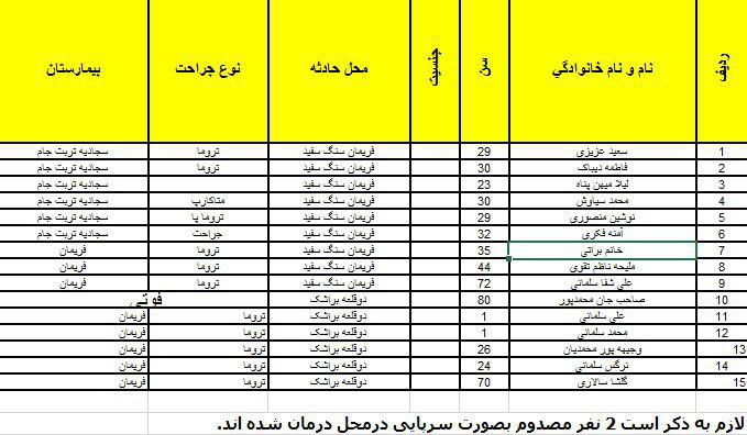یک روستا به طور کامل تخریب شده است/ آمار مصدومان زلزله مشهد به 11 نفر رسید