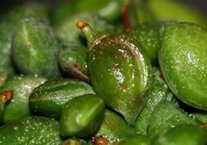 خواص چاقاله بادام