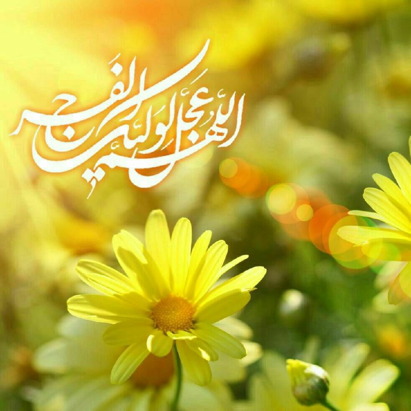 شعر/ بی تو آرام و قراری نیست در دنیای ما