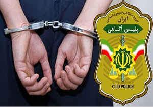 کلاهبرداری از خانم دکتر مجرد