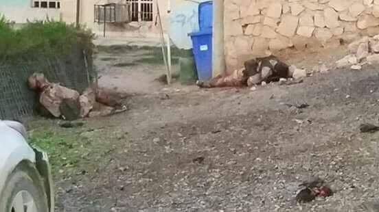 هلاکت 30 داعشی در حمله به نیروهای بسیج مردمی عراق در غرب موصل