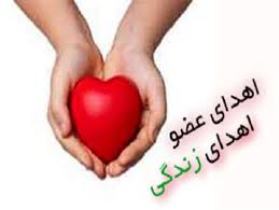 اهدای عضو ،اهدای زندگی