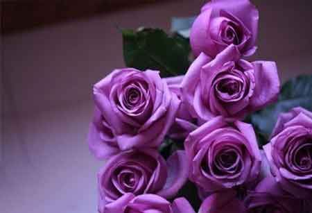 ضایعاتی که گل می شود+فیلم