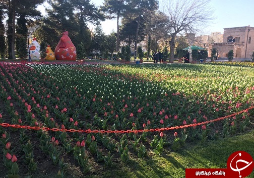 جشنواره گل های لاله