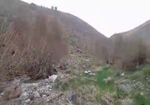 طبیعت بهاری بکر در همدان + فیلم و تصاویر